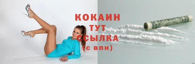 прущая мука Пересвет