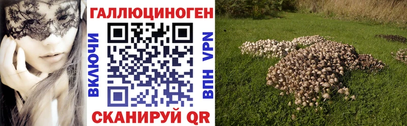 хочу   Билибино  Псилоцибиновые грибы MAGIC MUSHROOMS 