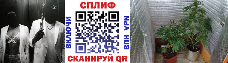мега ONION  Билибино  Бошки Шишки SATIVA & INDICA  купить наркотики цена 